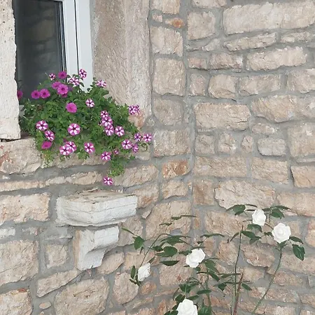 Daire Beautiful Alisa - Center Of The Old Town Vodnjan